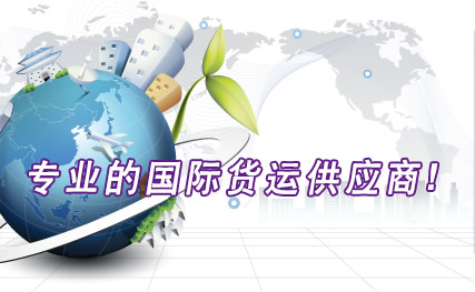 關(guān)節(jié)鎖81101